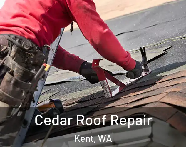  Cedar Roof Repair Kent, WA