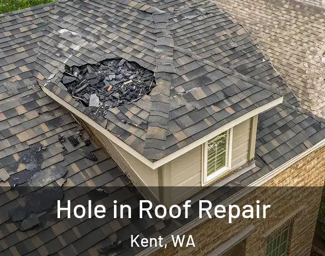 Hole in Roof Repair Kent, WA