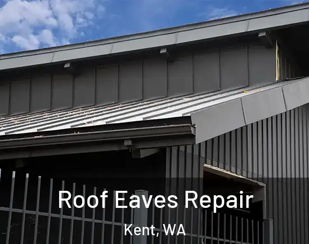  Roof Eaves Repair Kent, WA