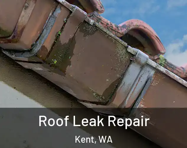  Roof Leak Repair Kent, WA