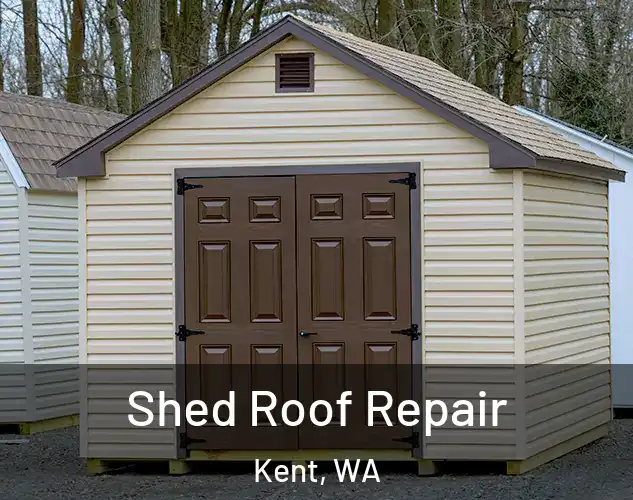  Shed Roof Repair Kent, WA