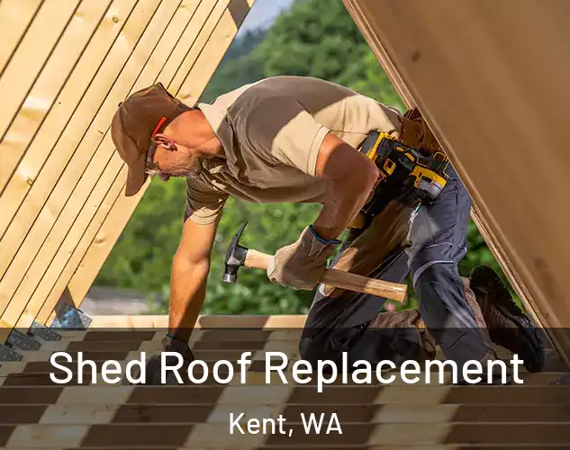  Shed Roof Replacement Kent, WA