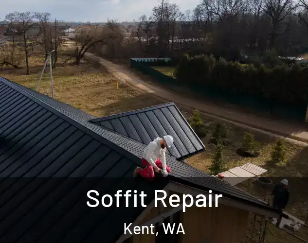  Soffit Repair Kent, WA